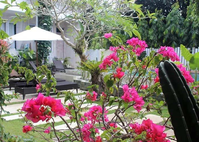 Guest house Bingin